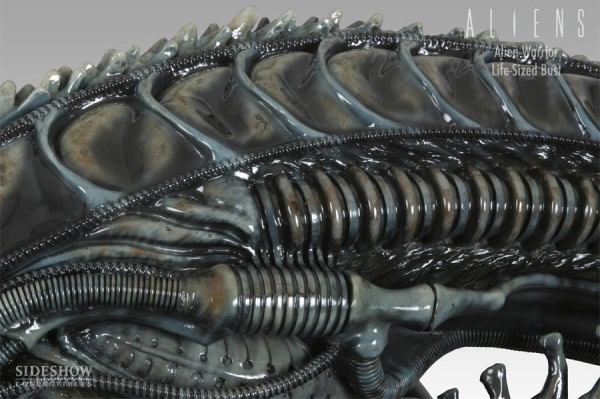 Aliens Life Size Alien Warrior Bust 1/1 Scale by Sideshow Stan Winston - Click Image to Close