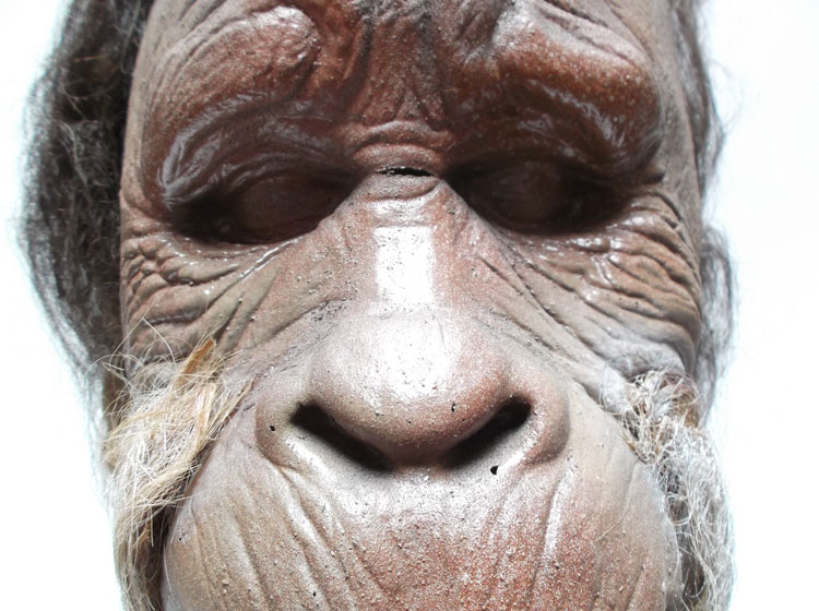 Harry And The Hendersons Rick Baker Latex Mask - Click Image to Close