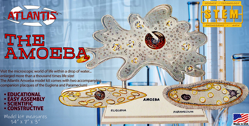 Amoeba, Euglena & Paramecium Lindberg Re-Issue Model Kit by Atlantis - Click Image to Close