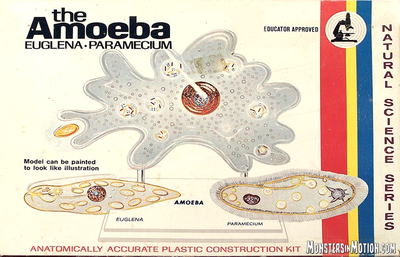 Amoeba, Euglena & Paramecium Lindberg Re-Issue Model Kit by Atlantis - Click Image to Close