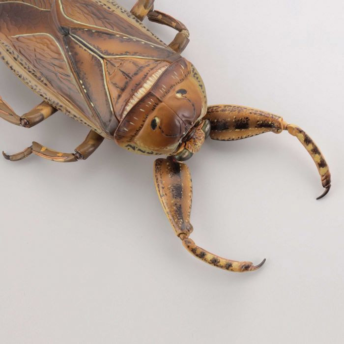 Water Bug Tagame Revogeo Revoltech Figure - Click Image to Close