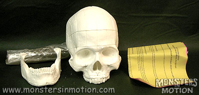 Hellraiser Lifesize Pinhead Skull Model Assembly Resin Kit - Click Image to Close