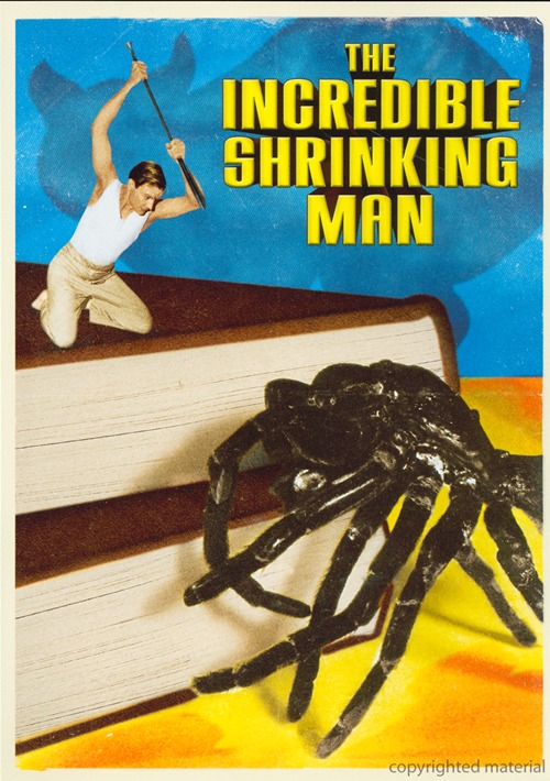 Incredible Shrinking Man DVD - Click Image to Close