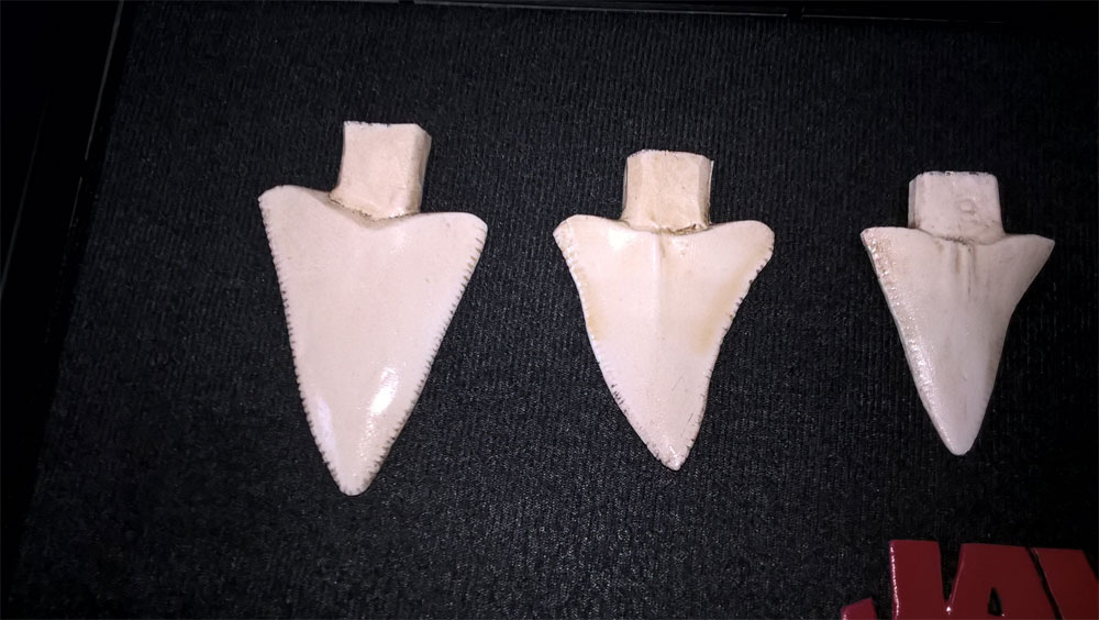 jaws 7 shark tooth display