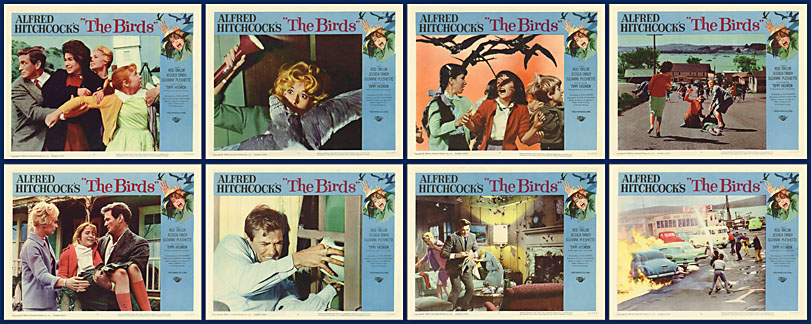 Birds 1963 11x14 Lobby Card Set - Click Image to Close